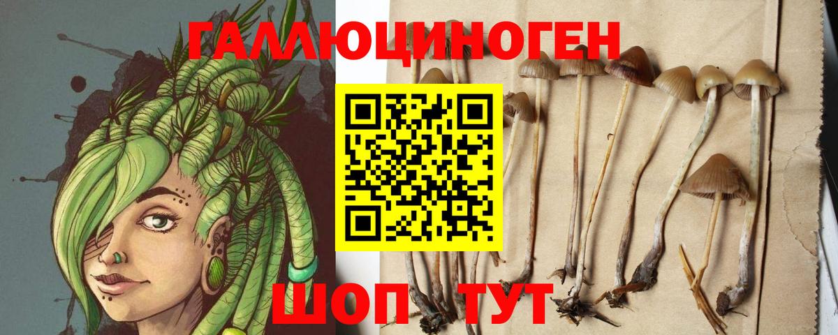 Псилоцибиновые грибы мухоморы Сертолово