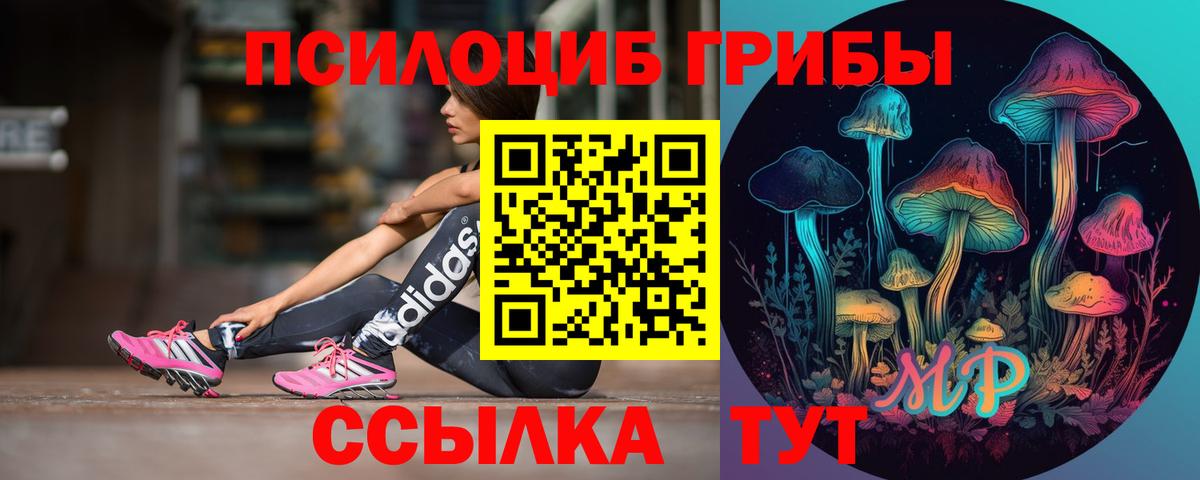Галлюциногенные грибы Cubensis  Псилоцибиновые грибы мухоморы  Сертолово  Вход с VPN 